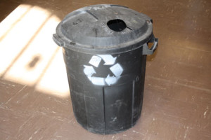 Recycling, turning out the lights, and more can all help Placer go green.