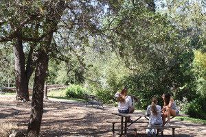 “Taco Park” earning unfavorable reputation in community