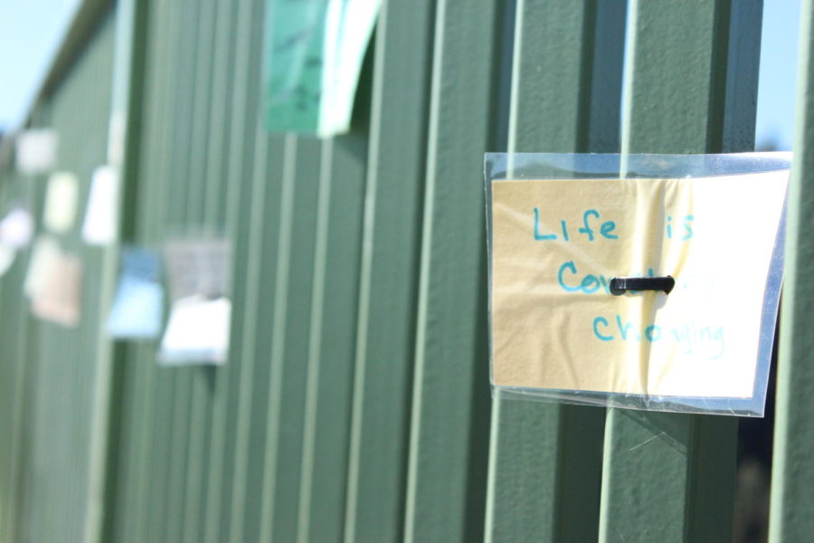 "Notes of Hope" offers support