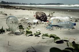 Climate change and plastic pollution is causing detrimental damage to the earth we inhabit