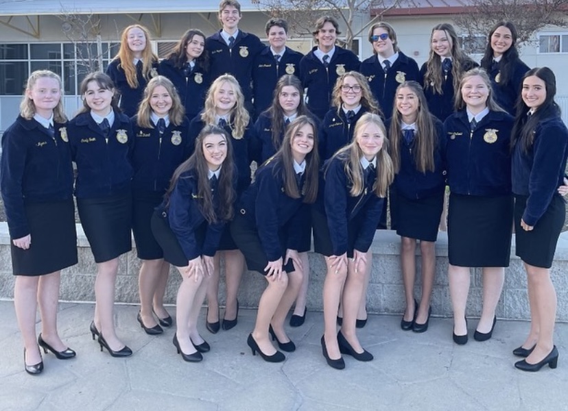 Placer FFA competing in annual speech competitions