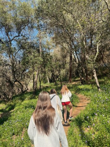 Fun hiking trials in Auburn